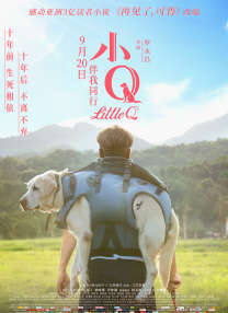 无敌神马琪琪电影免费看